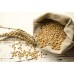 WHEAT AMRIT MOTI WHEAT AMRIT MOTI