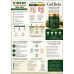 Gut Bela - Trial Pack - 05 Gms Gut Bela - Trial Pack - 05 Gms
