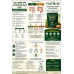 Gut Bela - Trial Pack - 05 Gms Gut Bela - Trial Pack - 05 Gms